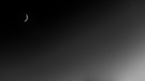 New Social Media Algorithms to Understand in 2026