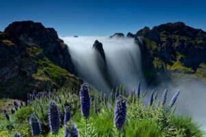 Social Media Automation: The Complete Guide to Scale Your Presence