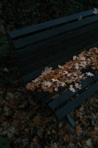 Voice-First Social Media: How Audio Content Will Dominate 2026