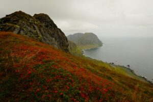 Micro-Content Revolution: Why Short-Form Video Dominates 2026