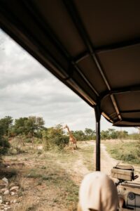 How to Build Authentic Community Around Your Brand in 2026