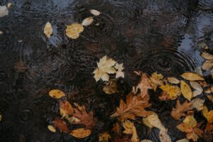 Micro-Influencers vs Mega-Influencers: ROI Battle in 2026