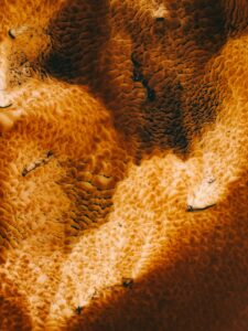 Social Listening Revolution: AI-Powered Brand Intelligence in 2026