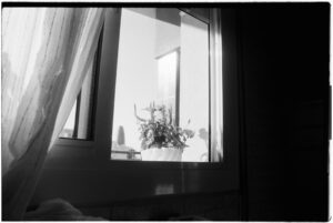 How to Build Authentic Community on Social Media in 2026