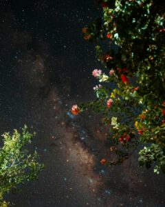 Cross-Platform Content Repurposing: Scale Your Reach in 2026