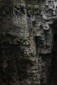 Social Media Automation: Best Tools and Strategies for 2026