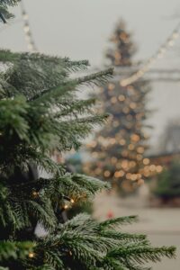 Cross-Platform Content Automation: Scale Your Reach in 2026