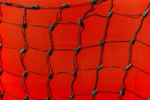 Micro-Influencers vs Macro-Influencers: ROI Battle for 2026