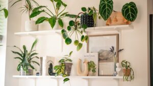 Cold Email Automation for Social Media Growth: Complete Guide