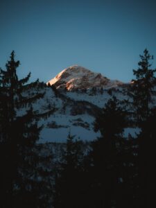 Why Your Social Media Automation is Killing Your Growth